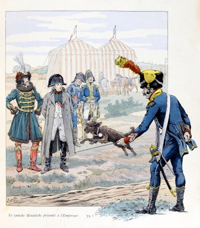 Illustratie uit het boek 