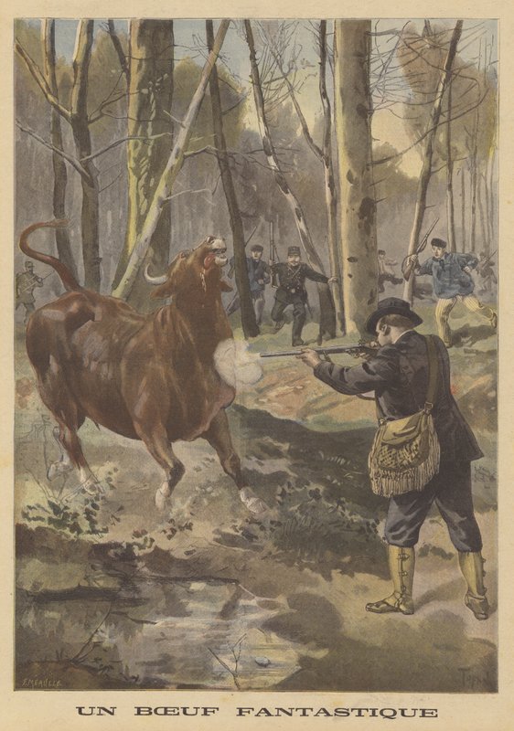 Neerschieten van een ontsnapte stier door French School