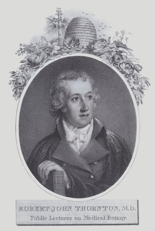 Robert John Thornton (litho) door (after) English School