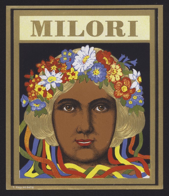 Milori door American School