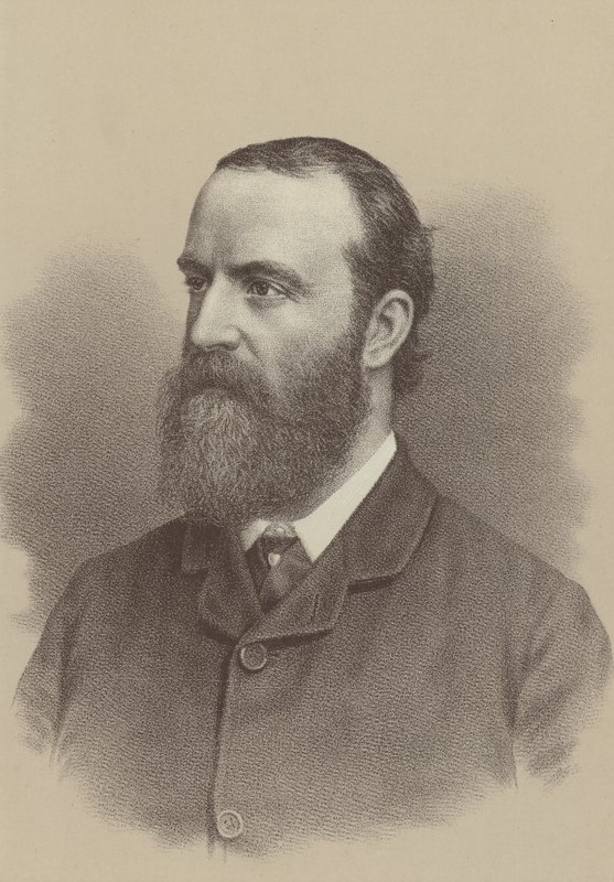 Charles Stewart Parnell, Ierse nationalistische politieke leider, landhervormingsagitator en de oprichter en leider van de Ierse parlementaire partij door English School