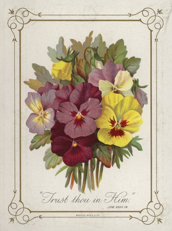 Boeket bloemen door English School