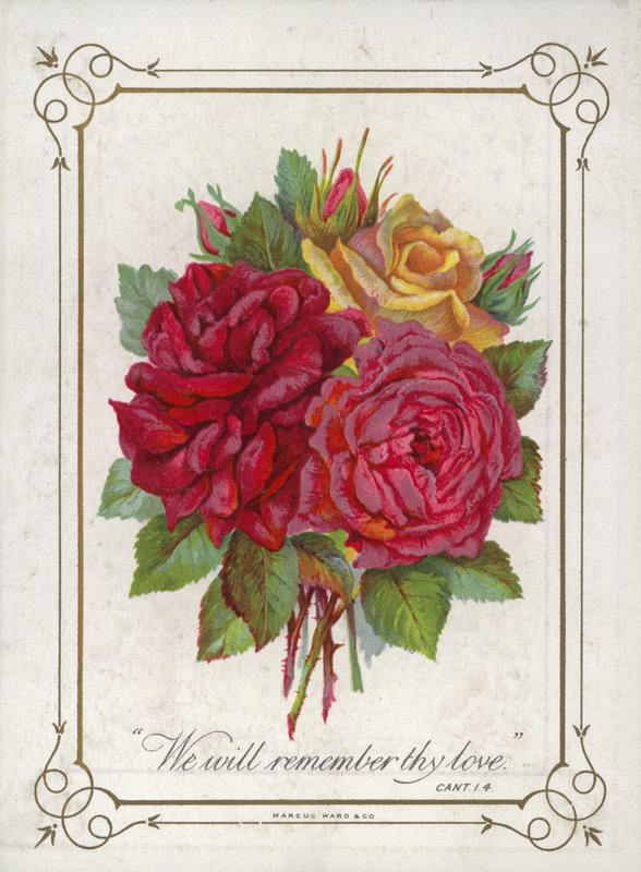 Boeket bloemen door English School