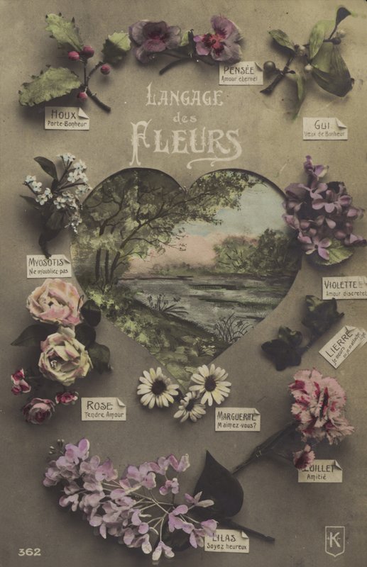 De taal van bloemen door French Photographer