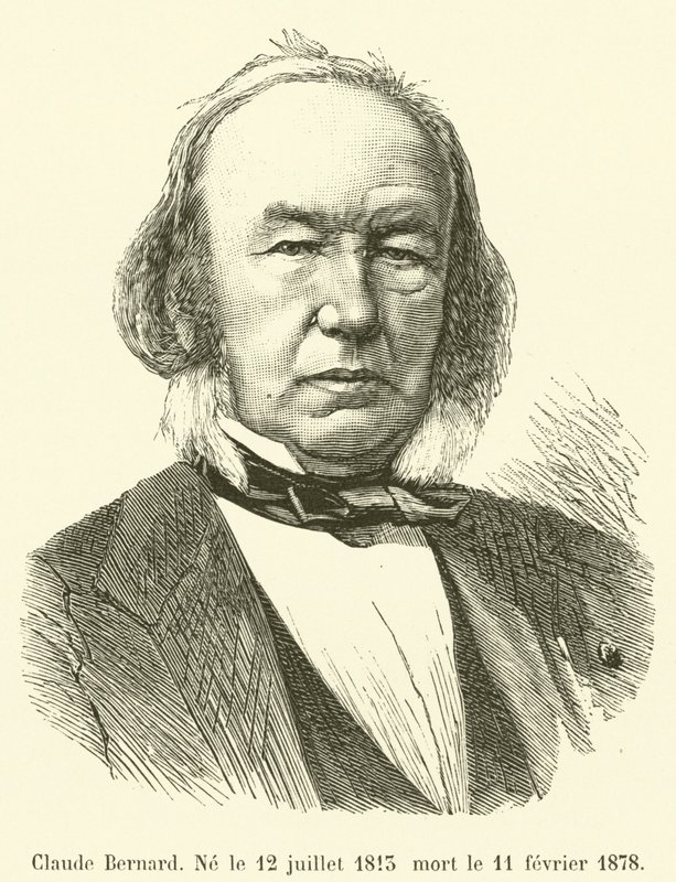 Claude Bernard, Geboren op 12 juli 1813, overleden op 11 februari 1878 door French School