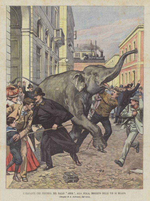 De olifant die zal optreden in het ballet Amor, in de Scala, op hol geslagen in de straten van Milaan door Achille Beltrame