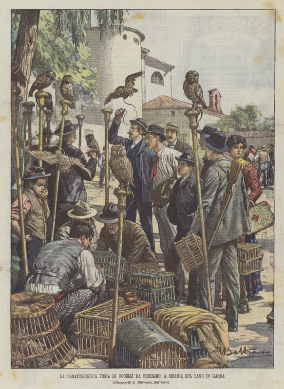 De karakteristieke vogelmarkt in Cisano, aan het Gardameer door Achille Beltrame
