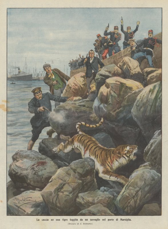 De jacht op een tijger ontsnapt uit een menagerie in de haven van Marseille door Achille Beltrame