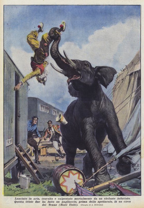 In de lucht gegooid, verpletterd en dodelijk vertrapt door een woedende olifant door Achille Beltrame