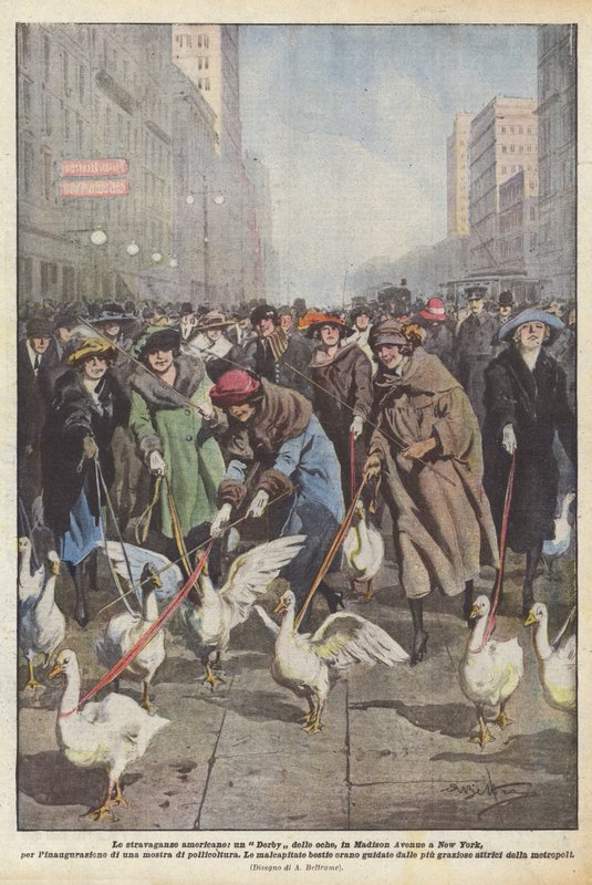 De Amerikaanse eigenaardigheden, een ganzenrace op Madison Avenue in New York, voor de opening ? door Achille Beltrame