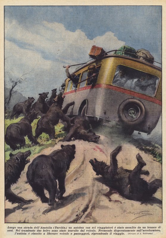 Langs een weg in Anatolië (Turkije) werd een bus met zes reizigers aangevallen door een groep beren door Achille Beltrame