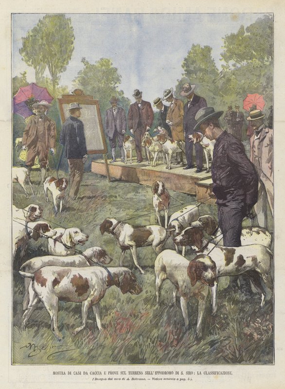 Tentoonstelling van jachthonden en veldproeven in de renbaan van S. Siro, de classificatie door Achille Beltrame