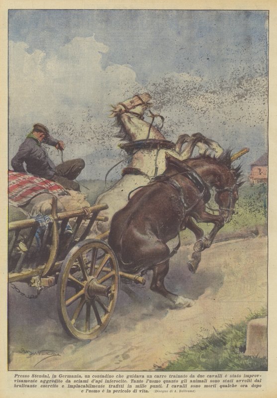 Bij Stendal, in Duitsland, werd een boer die een door twee paarden getrokken wagen bestuurde... door Achille Beltrame