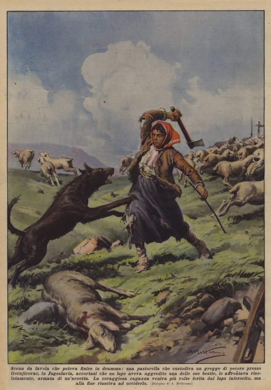 Een sprookjesscène die in een drama had kunnen eindigen, een herderin die een kudde schapen bewaakt door Achille Beltrame