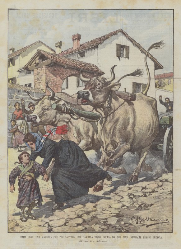 Nederige helden, een lerares die wordt gedood door twee woedende ossen terwijl ze een meisje probeert te redden bij Brescia door Achille Beltrame