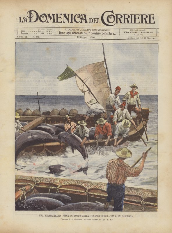 Een Buitengewone Tonijnvangst in de Tonnara van Isolapiana, in Sardinië door Achille Beltrame