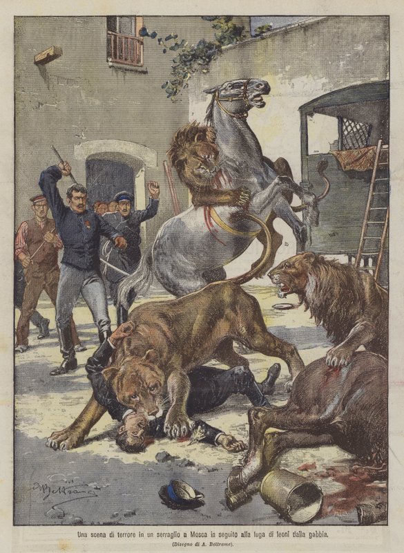 Een angstaanjagende scène in een dierentuin in Moskou na de ontsnapping van leeuwen uit hun kooi door Achille Beltrame