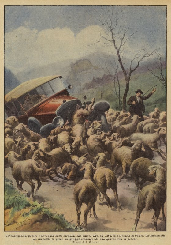 Een slachting van schapen vond plaats op de weg tussen Bra en Alba, in de provincie Cuneo door Achille Beltrame