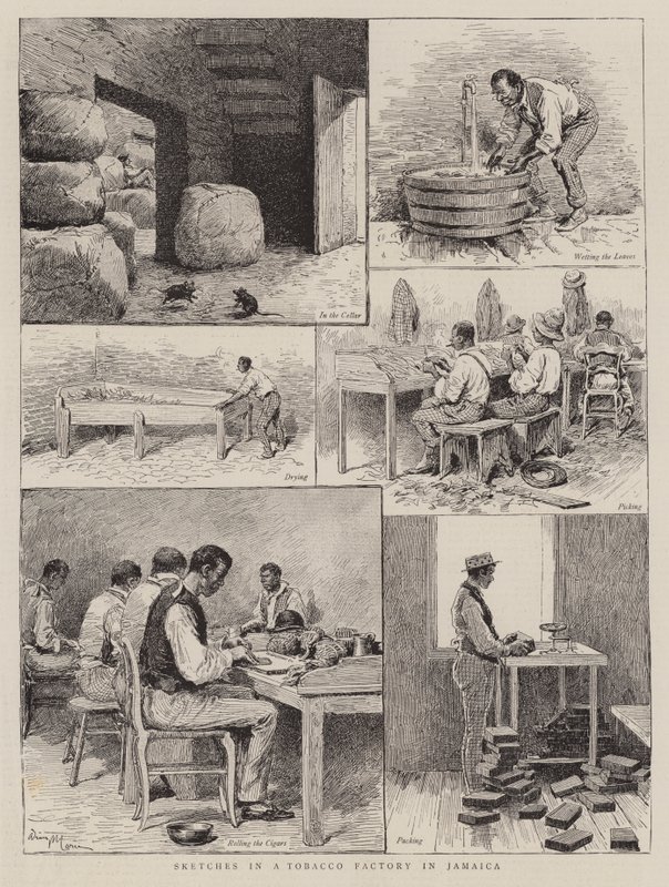Schetsen in een Tabaksfabriek in Jamaica door Adrien Emmanuel Marie