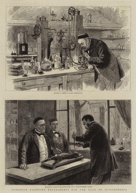 De experimenten van Monsieur Pasteur voor de genezing van hondsdolheid door Adrien Emmanuel Marie