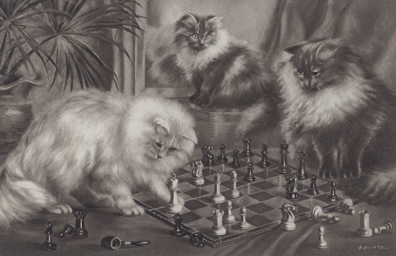 Groep katten die met schaakstukken spelen door Agnes Augusta Talboys