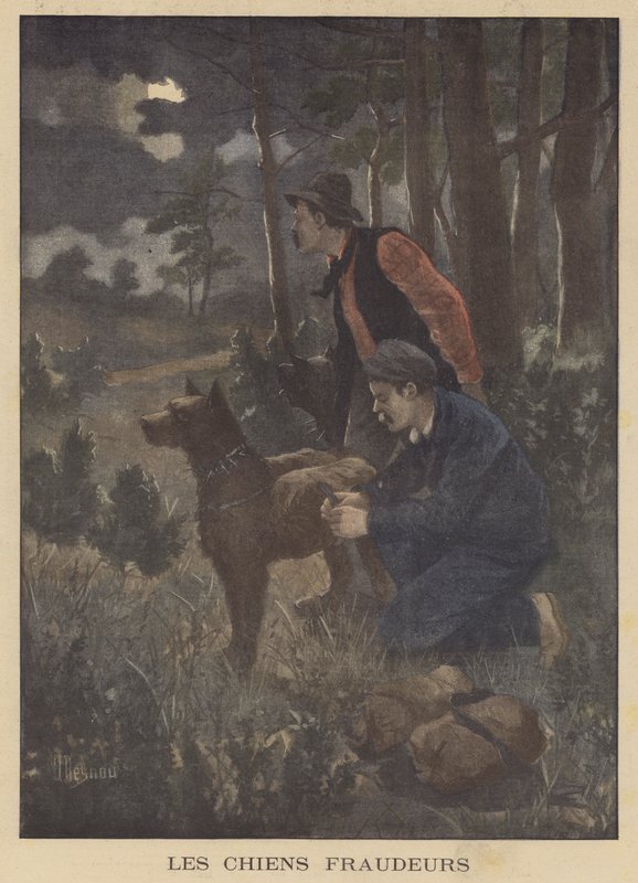 Honden gebruikt door smokkelaars om smokkelwaar over de grens te dragen door Albert Besnou