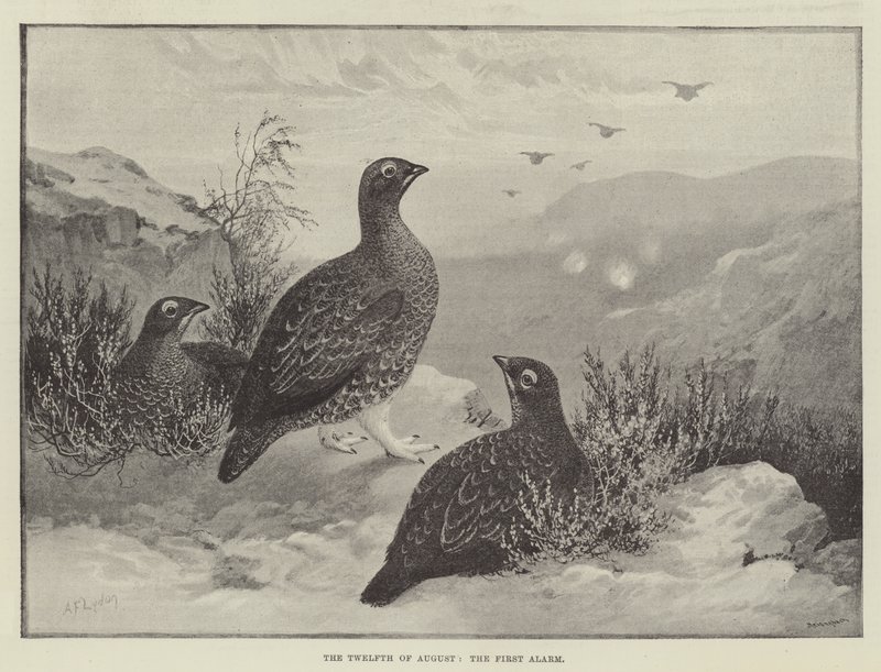 De Twaalfde Augustus, het Eerste Alarm door Alexander Francis Lydon