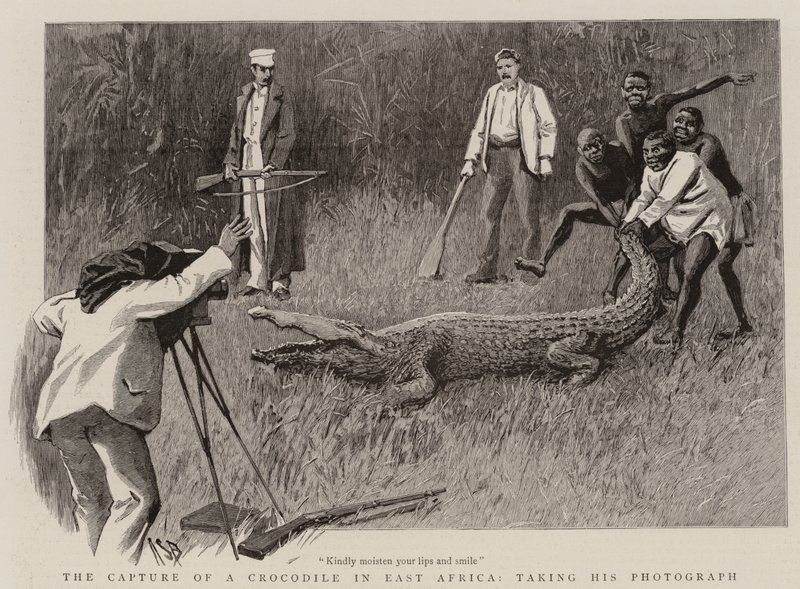 De vangst van een krokodil in Oost-Afrika, het maken van zijn foto door Alexander Stuart Boyd