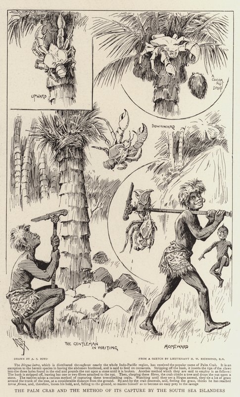 De Palmkrab en de methode van zijn vangst door de Zuidzee-eilanders door Alexander Stuart Boyd