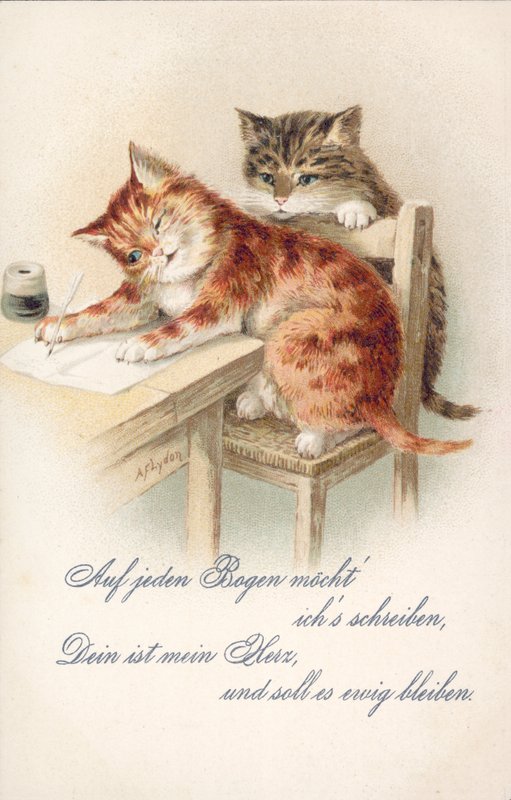 Humoristische kattenkaart door Alexander Francis (after) Lydon