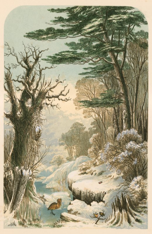 Illustratie voor Longfellow
