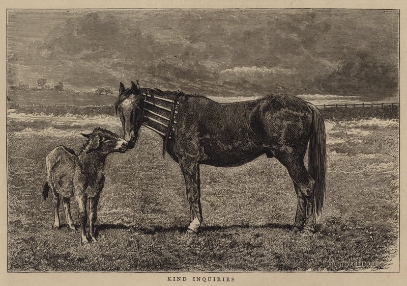 Vriendelijke vragen door Alfred Chantrey Corbould
