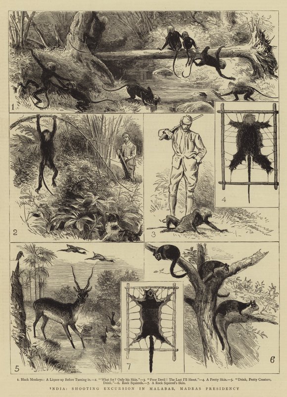 India, jachtexcursie in Malabar, Madras Presidency door Alfred W. Cooper