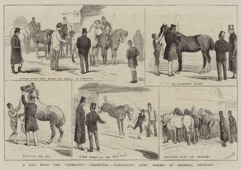 Een dag met het Remount Committee, legerpaarden kopen in Redhill, Edgware door Alfred Chantrey Corbould
