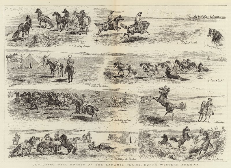Het vangen van wilde paarden op de Laramie-vlaktes, Noordwest-Amerika door Alfred Chantrey Corbould