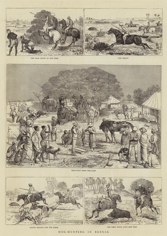 Varkensjacht in Bengalen door Alfred Chantrey Corbould