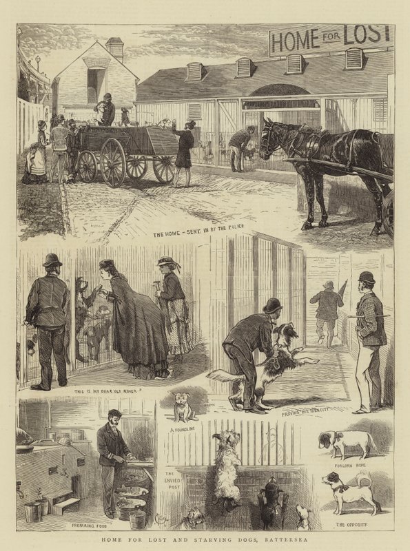 Huis voor Verloren en Hongerige Honden, Battersea door Alfred Chantrey Corbould