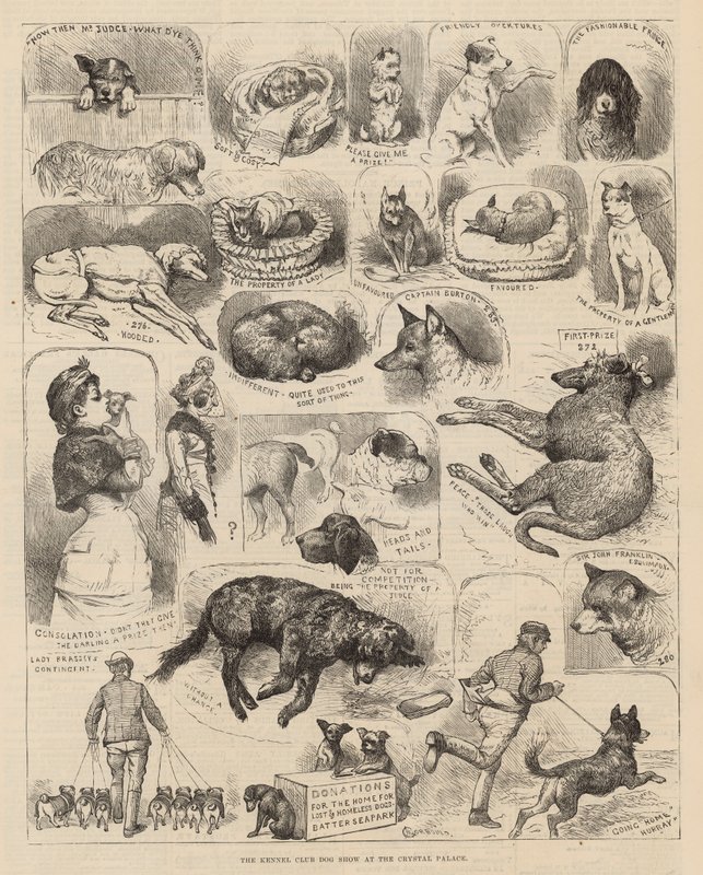 De Kennel Club Hondenshow in het Crystal Palace door Alfred Chantrey Corbould