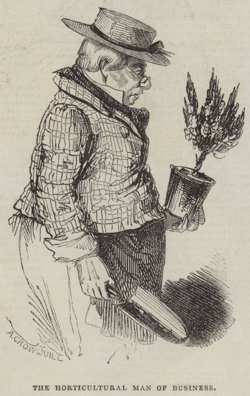 De Tuinbouwman van Zaken door Alfred Crowquill