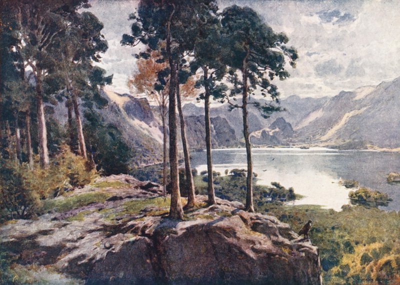 Lake District: Derwentwater, vanaf Castle Head, een heldere ochtend door Alfred Heaton Cooper