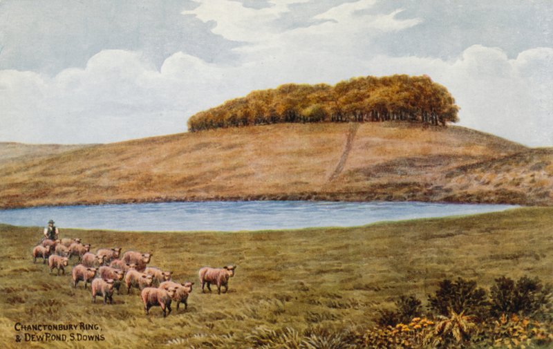 Chanctonbury Ring en Dew Pond, S Downs door Alfred Robert Quinton