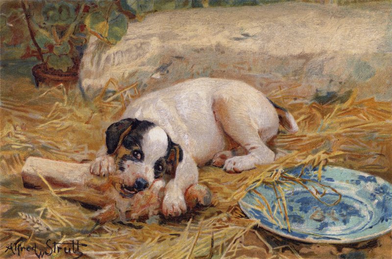 Hoe dichter bij het bot, hoe zoeter het vlees door Alfred William Strutt