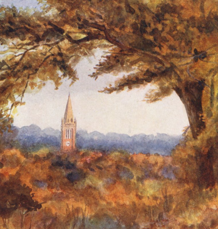 New Forest: Lyndhurst Church vanaf de Cut Walk, november (kleurenlitho) door Alice Julia Argles