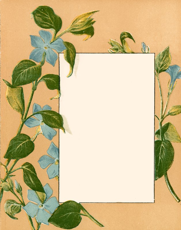 Februari door Alicia Amy Leith