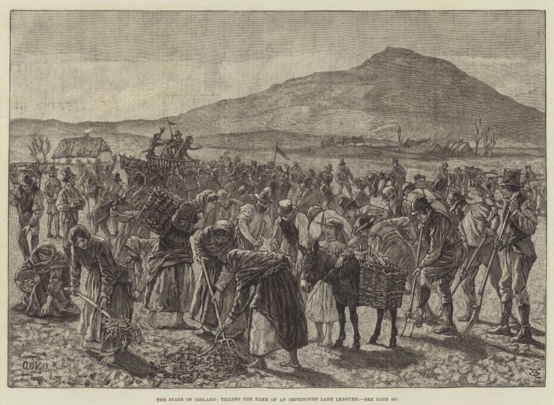 De Staat van Ierland, het bewerken van de Boerderij van een Gevangen Land Liga-lid door Aloysius O