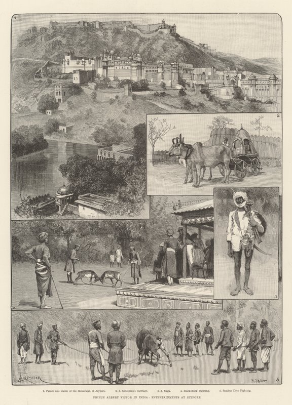 Prins Albert Victor in India, Amusementen in Jeypore door Amedee Forestier