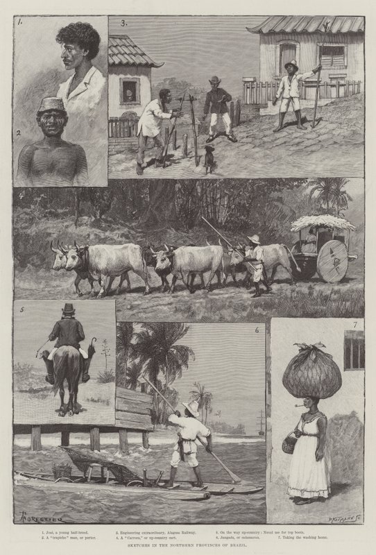 Schetsen in de Noordelijke Provincies van Brazilië door Amedee Forestier