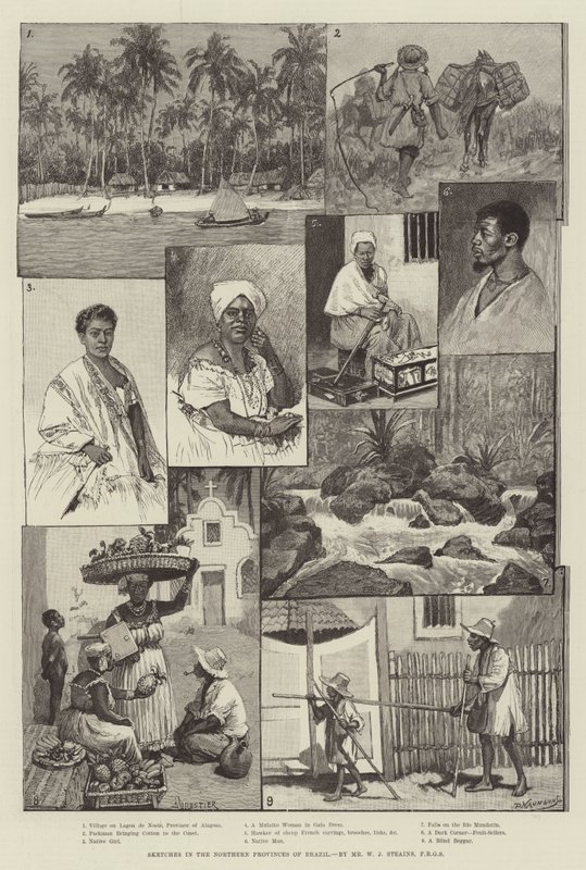 Schetsen in de noordelijke provincies van Brazilië door Amedee Forestier