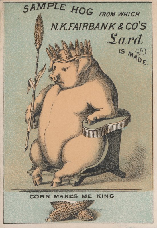 Advertentie voor N K Fairbank & Co