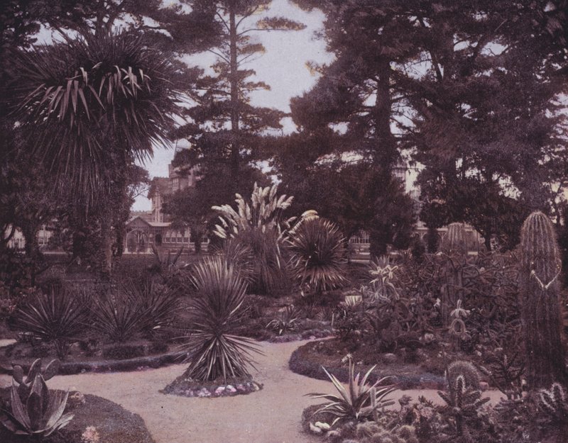 Een cactus tuin van Zuid-Californië door American Photographer (after)